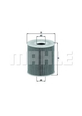 OX156D1     (KNECHT)1