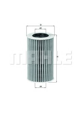 OX554D2     (KNECHT)1