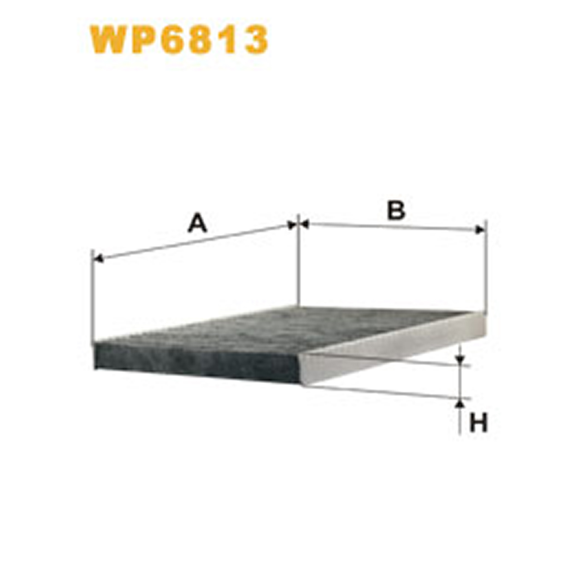 6813   (1006A)1