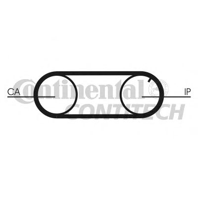 CT641   Ремінь ГРМ CONTI SYNCHROBELT2