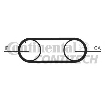 CT645   Ремінь ГРМ CONTI SYNCHROBELT2