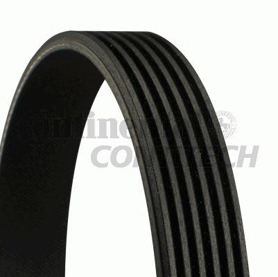 6PK1165   Ремінь (поліклиновий) CONTI-V MULTIRIB1