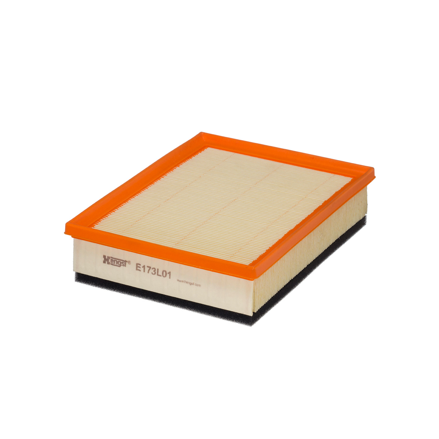 E173L01     (HENGST)1