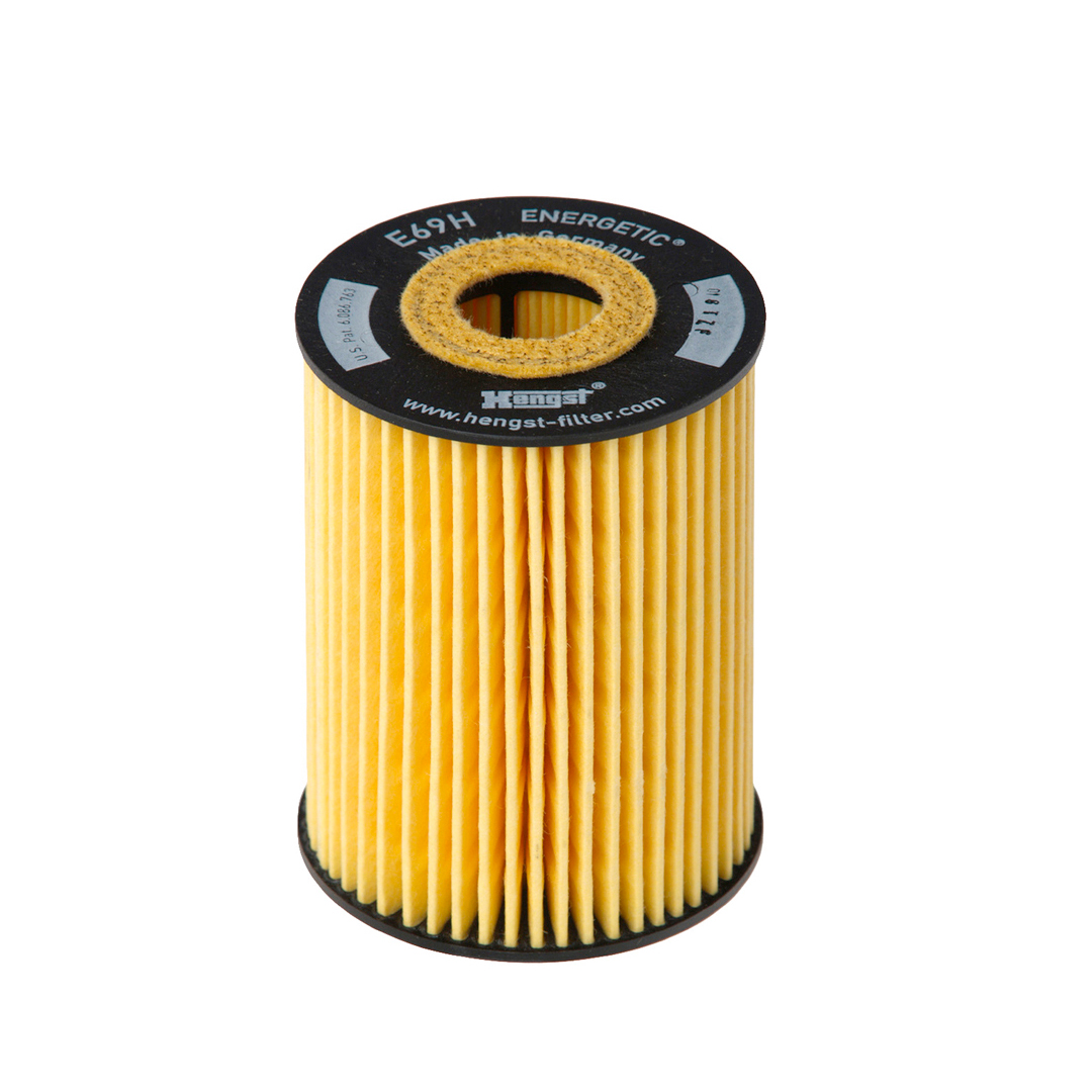 E69H D81     (HENGST)1