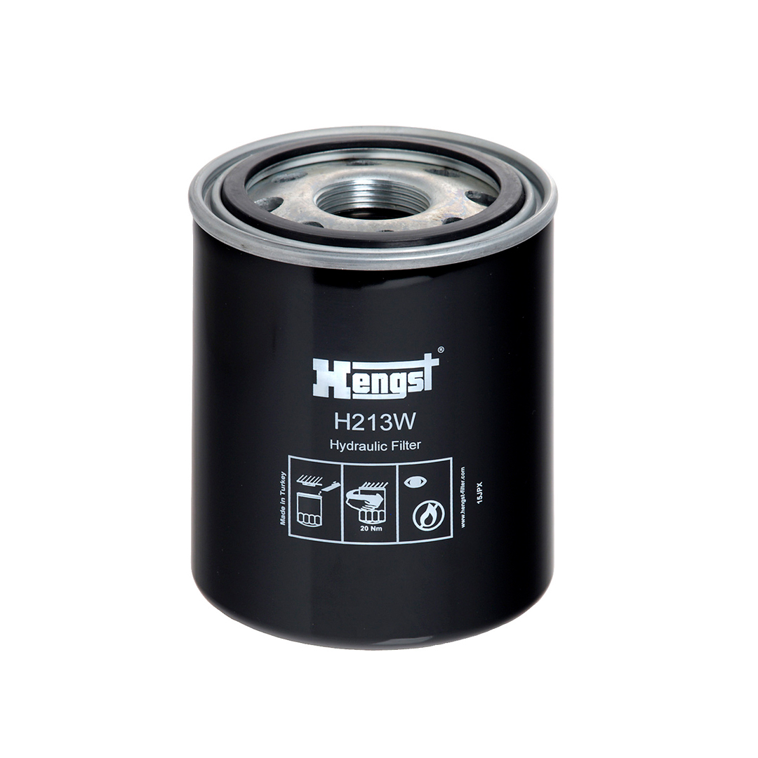 H213W     (HENGST)1
