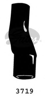 3719 (4275-13719)  Патрубок системи охолодження GATES1