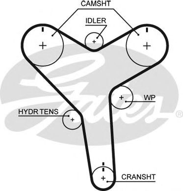 T271 (8595-10436)  Ремінь ГРМ GATES1
