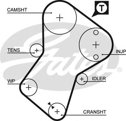 5049XS (8597-15049)  Ремінь ГРМ GATES XS1