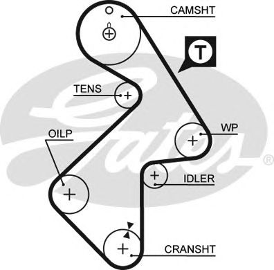 5202XS (8597-15202)  Ремінь ГРМ GATES XS1