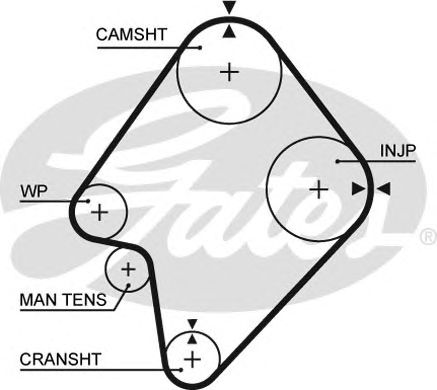 5300XS (8597-15300)  Ремінь ГРМ GATES XS1