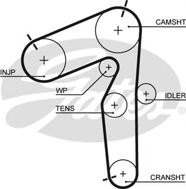 5462XS (8597-15462)  Ремінь ГРМ GATES XS1