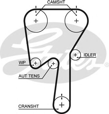 5509XS (8597-15509)  Ремінь ГРМ GATES XS1