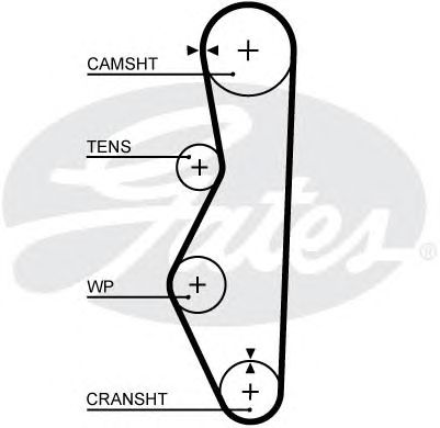 5521XS (8597-15521)  Ремінь ГРМ GATES XS1