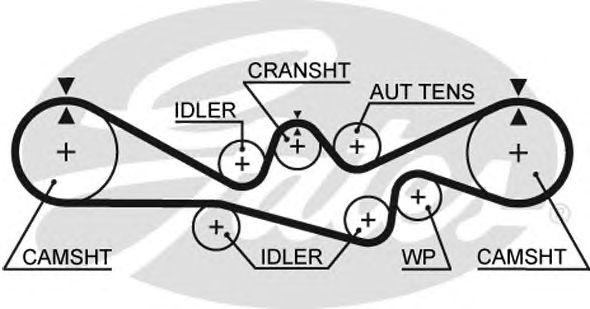 5537XS (8597-15537)  Ремінь ГРМ GATES XS1