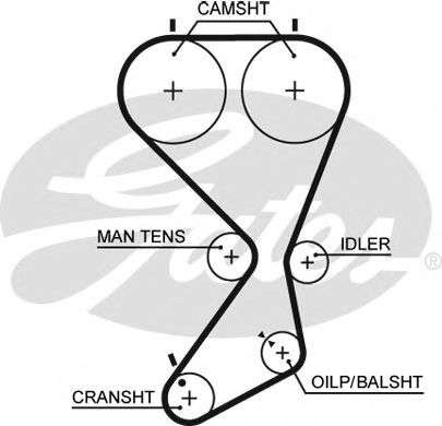 5556XS (8597-15556)  Ремінь ГРМ GATES XS1