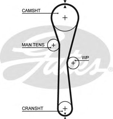 5577XS (8597-15577)  Ремінь ГРМ GATES XS1