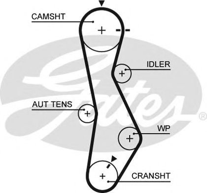 5579XS (8597-15579)  Ремінь ГРМ GATES XS1