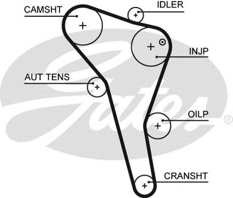 5622XS (8597-15622)  Ремінь ГРМ GATES XS1