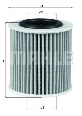 OX834D     (KNECHT)1