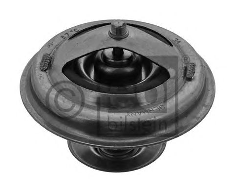 17896  FEBI - Термостат1