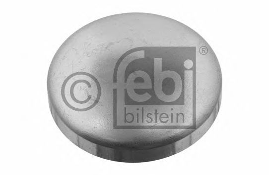 31794  FEBI - Заглушка1