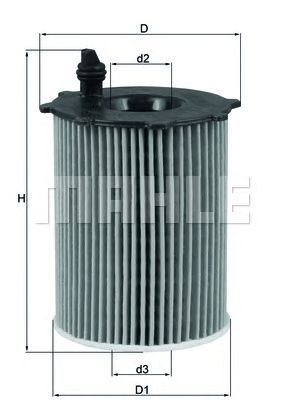 OX171/2D1     (KNECHT)1