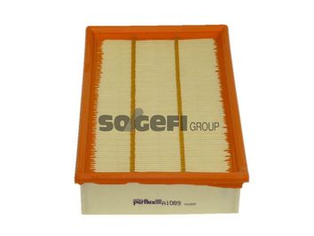 A1089     (PURFLUX)1