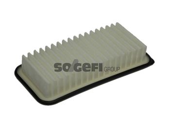 A1107     (PURFLUX)1