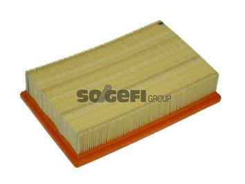 A1170     (PURFLUX)1