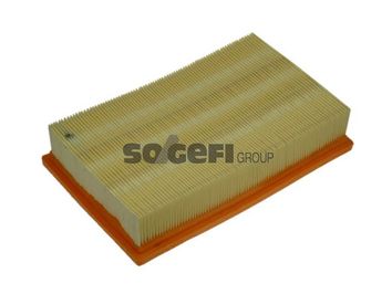 A1171     (PURFLUX)1