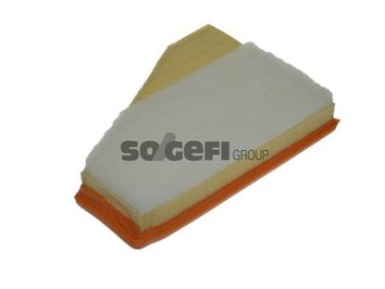 A1186     (PURFLUX)1