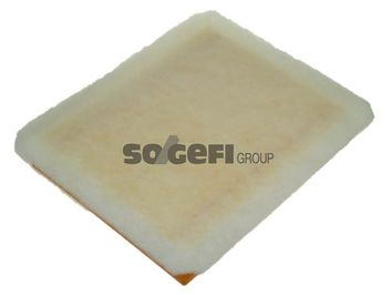 A1191     (PURFLUX)1