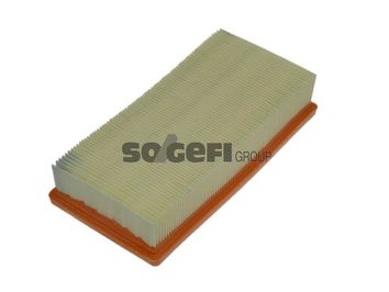 A1254     (PURFLUX)0