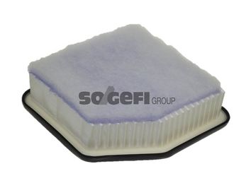 A1305     (PURFLUX)1