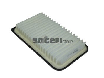 A1313     (PURFLUX)1