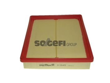 A1545     (PURFLUX)1