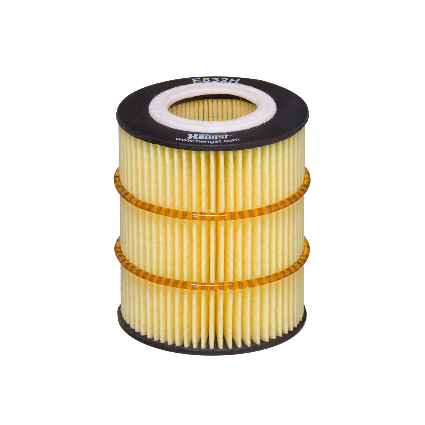 E832H D317     (HENGST)1