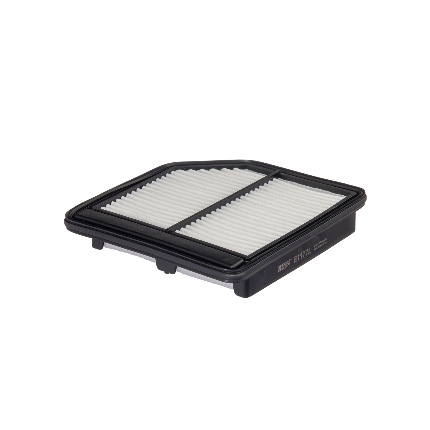 E1177L     (HENGST)1