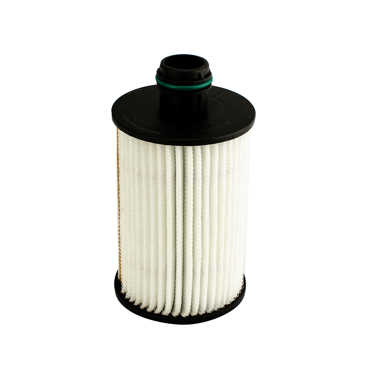 E162H D249     (HENGST)1