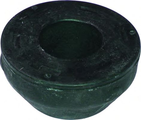 4842  Original Birth - Сайлентблок1