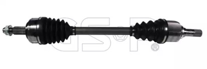 218247 GSP  -  Напіввісь1