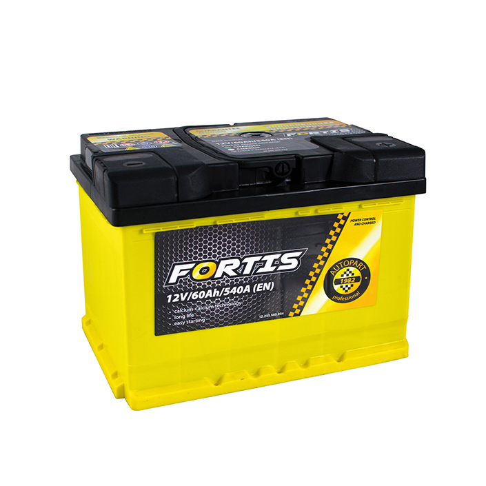 60 Ah/12V FORTIS  (0) Euro1