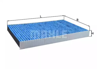 LAO229     (KNECHT)1