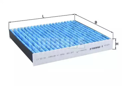 LAO436     (KNECHT)1