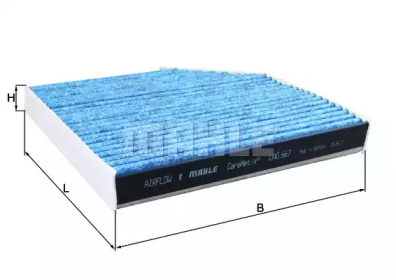 LAO667     (KNECHT)1