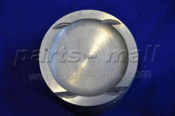 PXMSC-011B  PMC  -  Поршень4