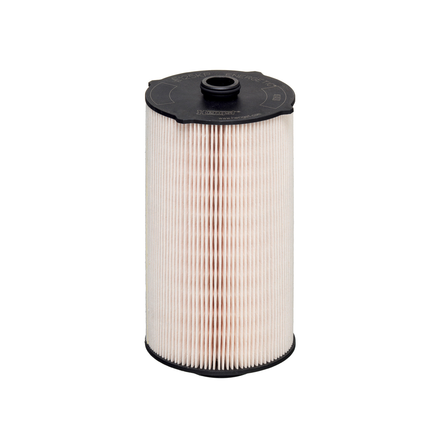 E125KP D302     (HENGST)1