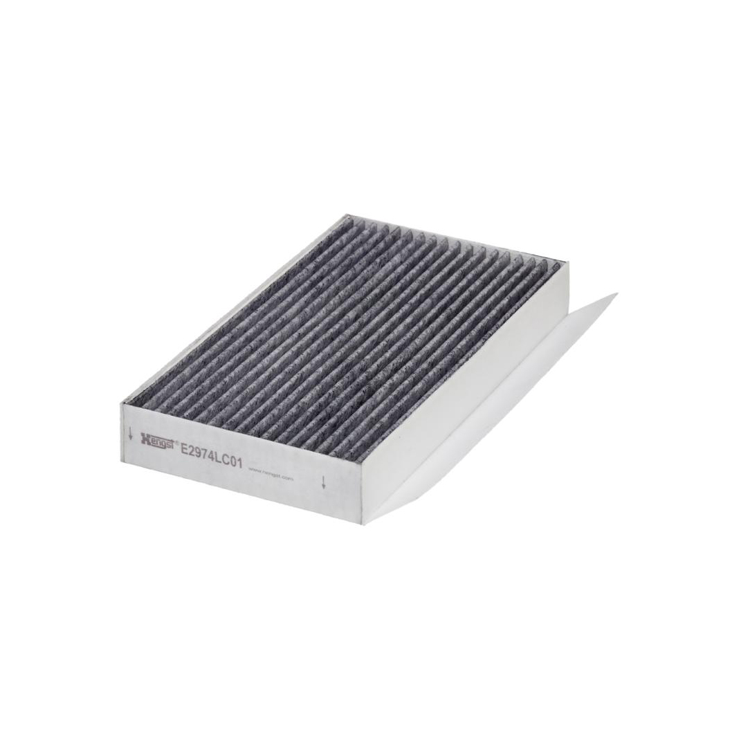 E2974LC01     (HENGST)1