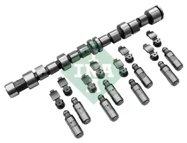 428 0043 30  INA - Комплект розподільного вала1