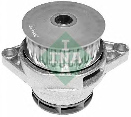 538 0031 10  INA - Насос охолоджуючої рідини1